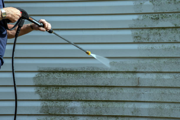 Best Gutter Cleaning  in Dowagiac, MI
